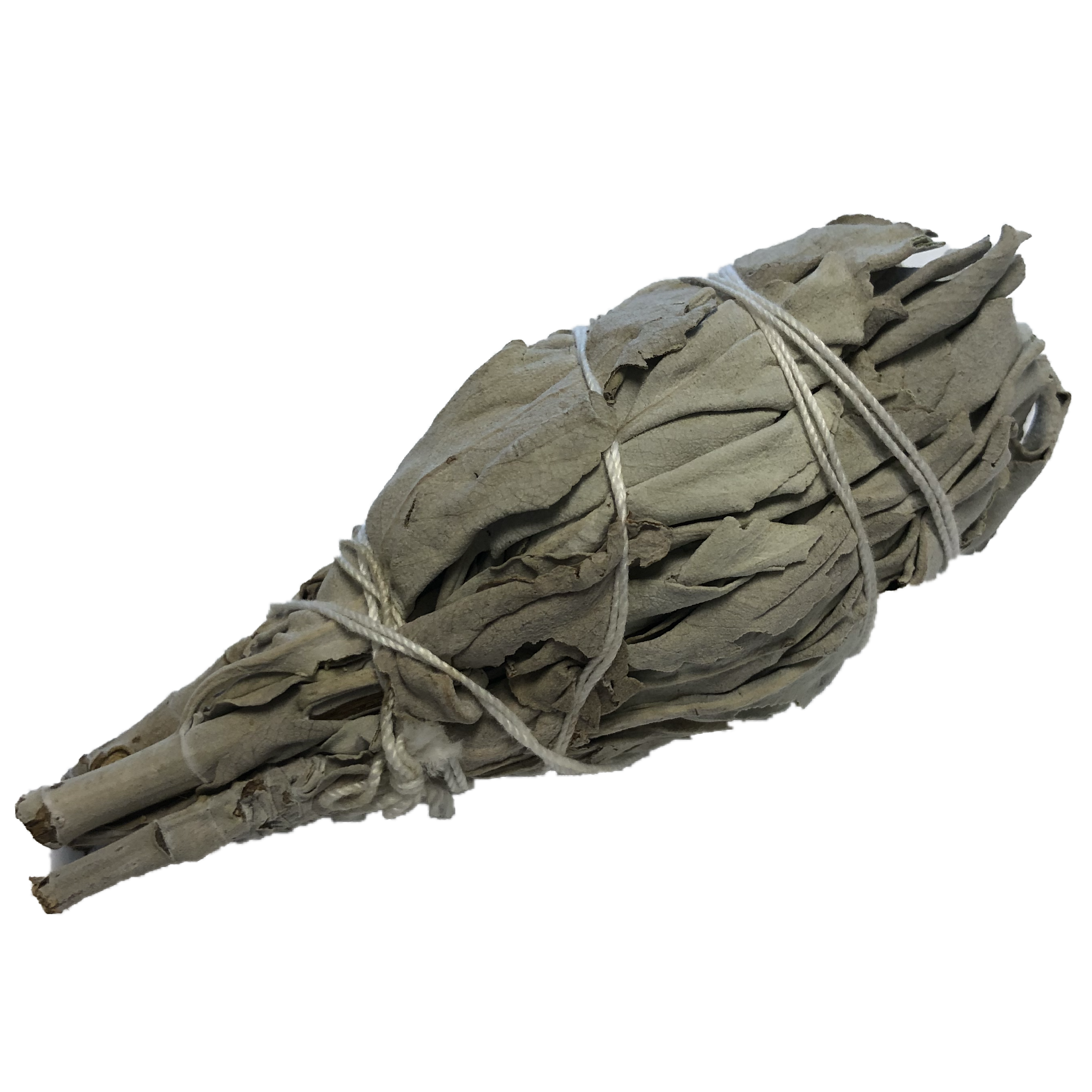 White Sage Bundle