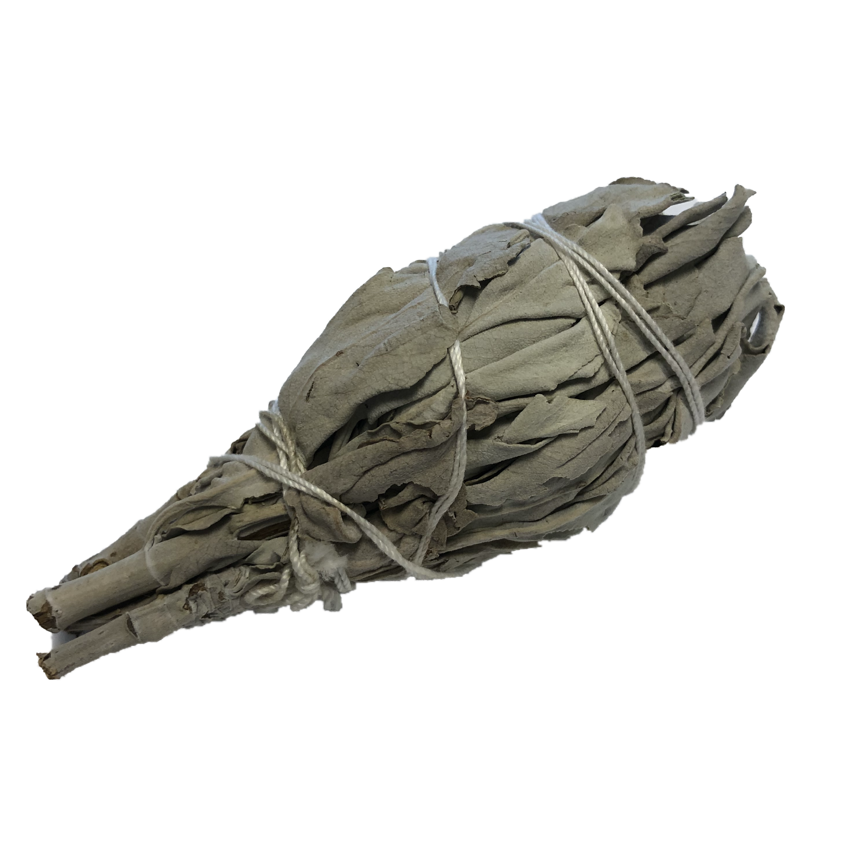 White Sage Bundle