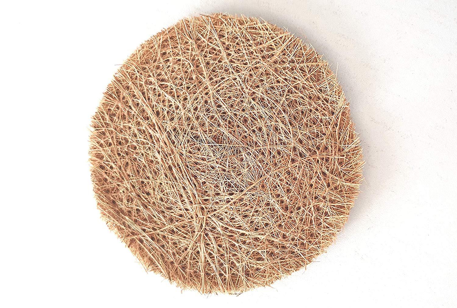 Dish Scrubbing Pads