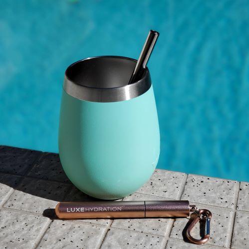 Collapsible Straw + Carrying Case